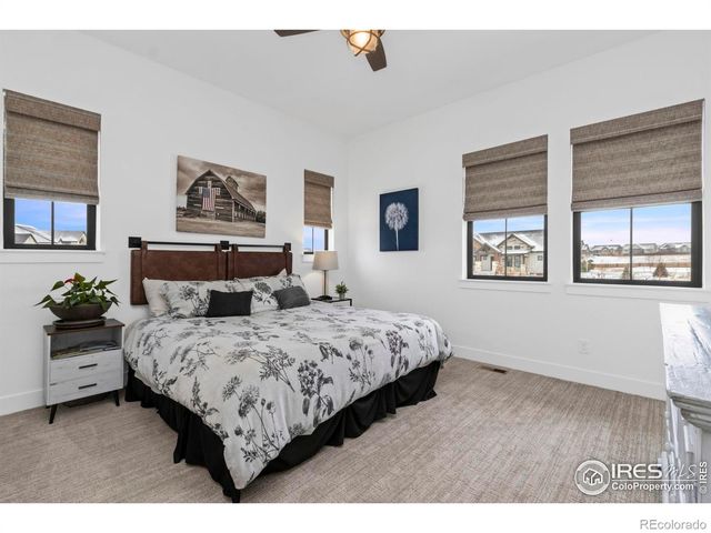 1907 Spring Bloom Drive, Windsor, CO 80550