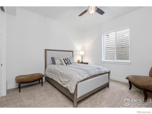 1907 Spring Bloom Drive, Windsor, CO 80550