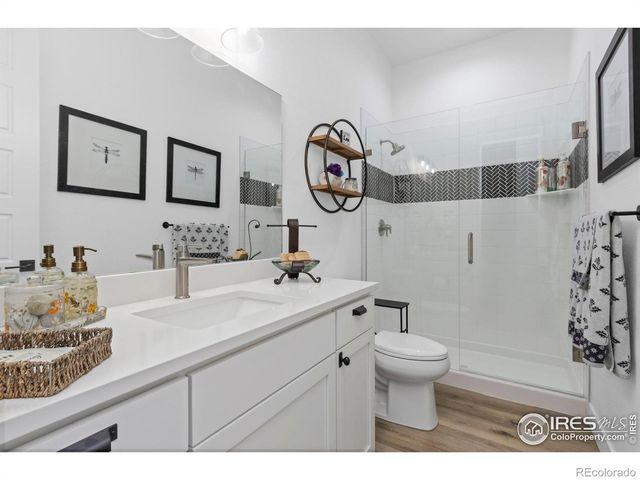 1907 Spring Bloom Drive, Windsor, CO 80550