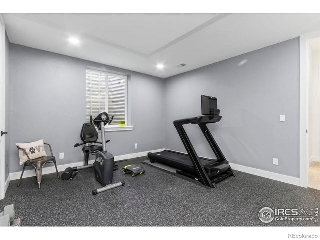 1907 Spring Bloom Drive, Windsor, CO 80550