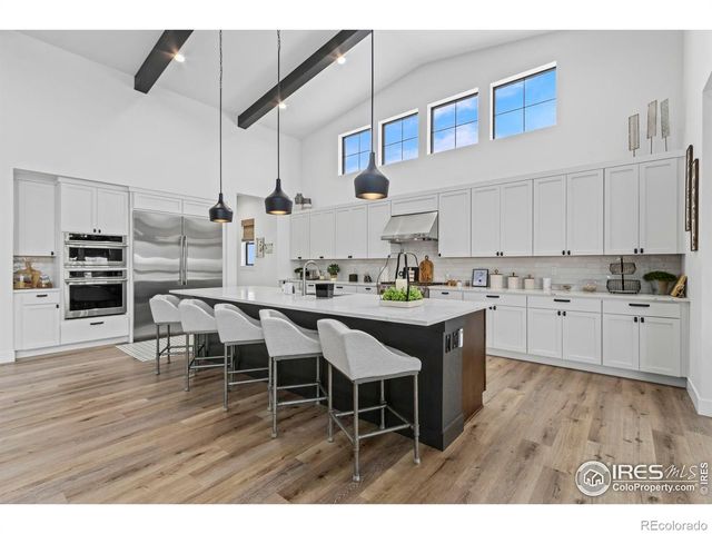 1907 Spring Bloom Drive, Windsor, CO 80550