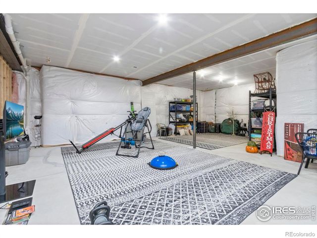 1907 Spring Bloom Drive, Windsor, CO 80550