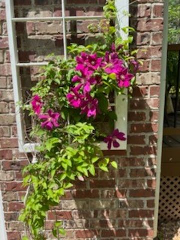 4015 Pilgrim Trl, Greenbrier, TN 37073