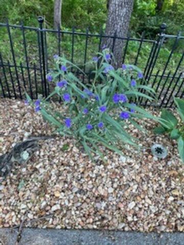 4015 Pilgrim Trl, Greenbrier, TN 37073