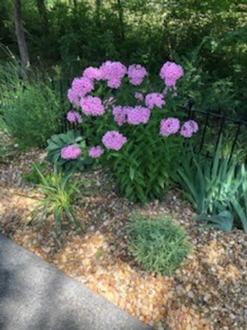 4015 Pilgrim Trl, Greenbrier, TN 37073