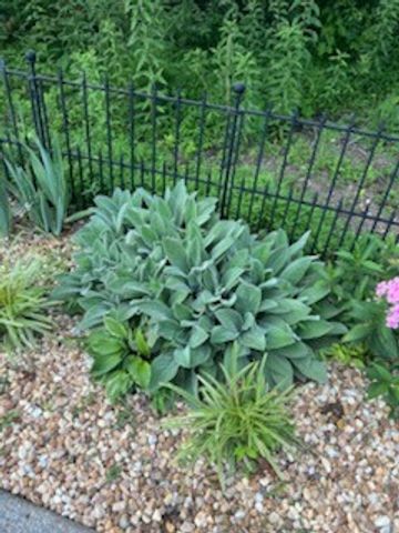 4015 Pilgrim Trl, Greenbrier, TN 37073