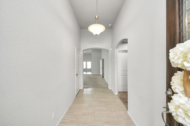 55 Alyssa Palms Drive, Manvel, TX 77578