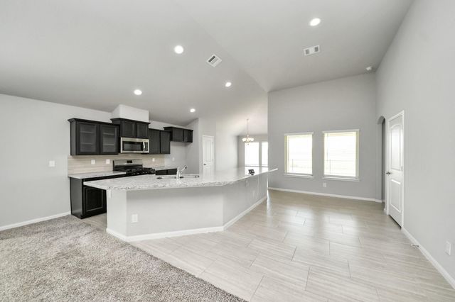 55 Alyssa Palms Drive, Manvel, TX 77578