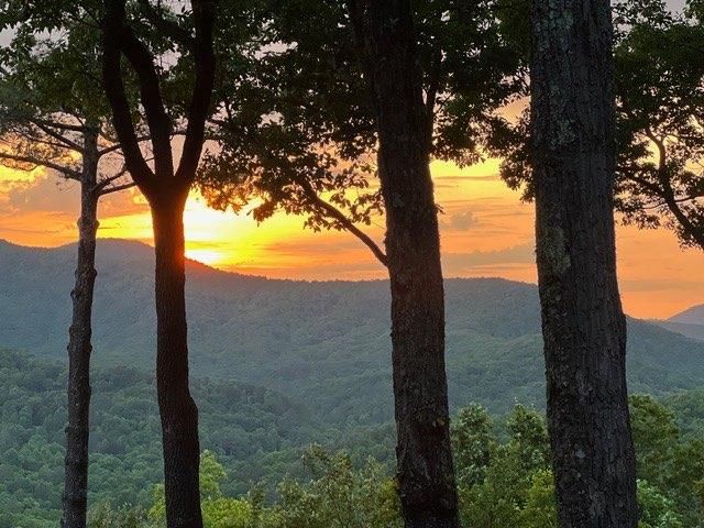 254 Leatherwood Mountain Road, Ellijay, GA 30540