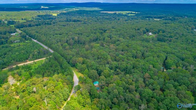 1059 County Road 639, Mentone, AL 35984