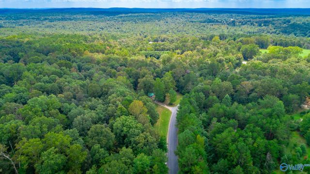 1059 County Road 639, Mentone, AL 35984