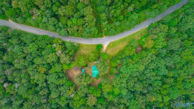 1059 County Road 639, Mentone, AL 35984