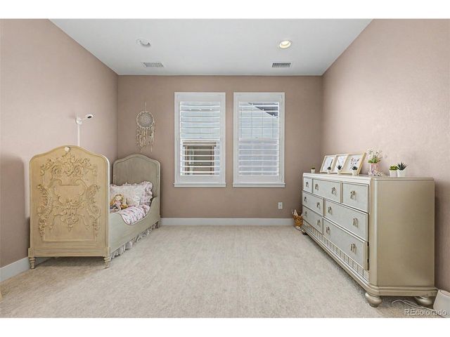 11172 Bright Sky St, Littleton, CO 80125