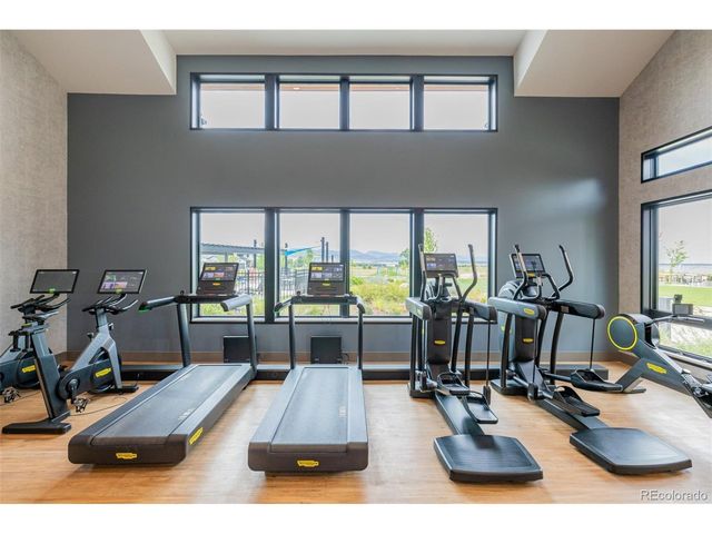 11172 Bright Sky St, Littleton, CO 80125