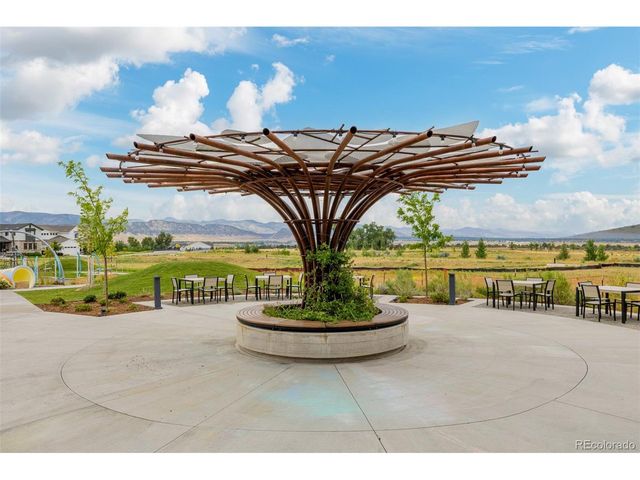 11172 Bright Sky St, Littleton, CO 80125