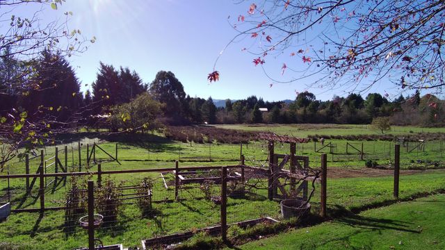 4180 Meadowview Lane, Hydesville, CA 95547