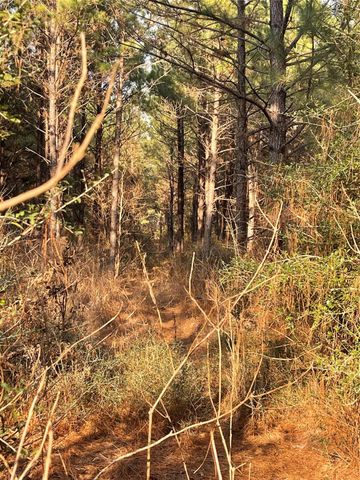 NA Kickapoo Road, Groveton, TX 75845