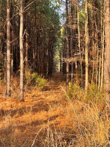 NA Kickapoo Road, Groveton, TX 75845