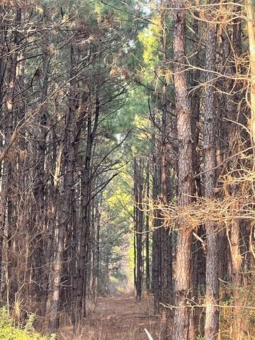 NA Kickapoo Road, Groveton, TX 75845