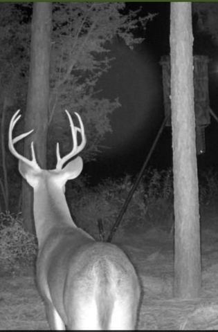 NA Kickapoo Road, Groveton, TX 75845