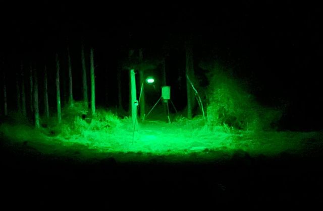 NA Kickapoo Road, Groveton, TX 75845