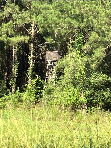 NA Kickapoo Road, Groveton, TX 75845