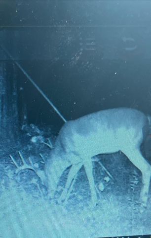 NA Kickapoo Road, Groveton, TX 75845