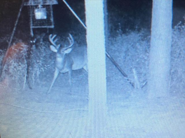 NA Kickapoo Road, Groveton, TX 75845