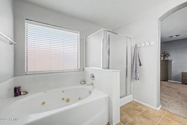 19600 N PORTAROSA Court, Maricopa, AZ 85138