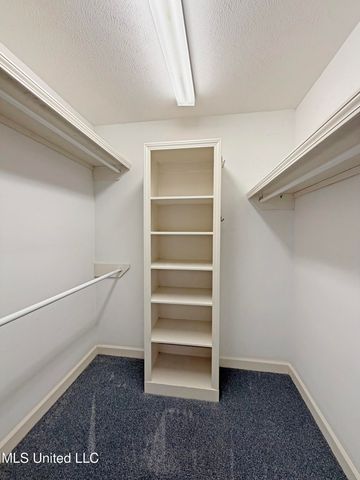 28 Moss Woods Cove, Madison, MS 39110