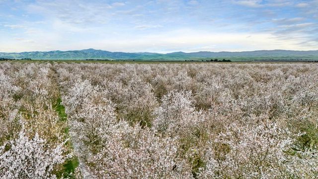 3320 W Durham Ferry Rd, Tracy, CA 95304