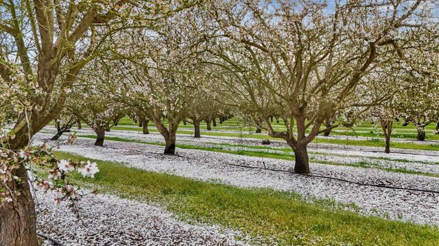 3320 W Durham Ferry Rd, Tracy, CA 95304