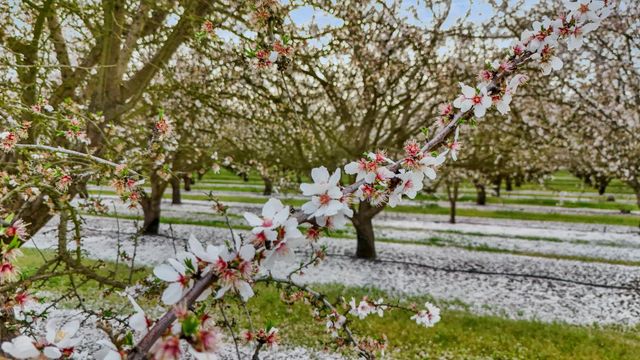 3320 W Durham Ferry Rd, Tracy, CA 95304