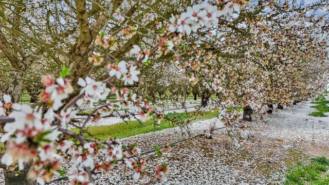 3320 W Durham Ferry Rd, Tracy, CA 95304