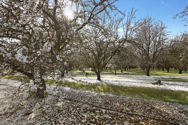 3320 W Durham Ferry Rd, Tracy, CA 95304