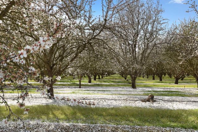 3320 W Durham Ferry Rd, Tracy, CA 95304