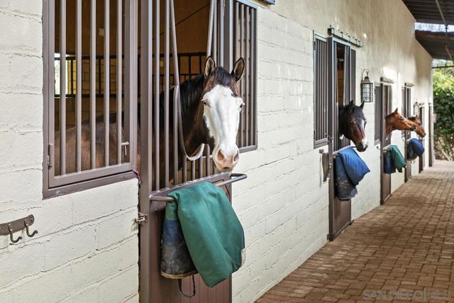 16337 Los Arboles, Rancho Santa Fe, CA 92067