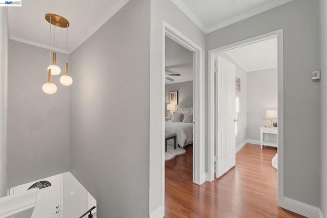 222 Corte San Pablo, Fremont, CA 94539