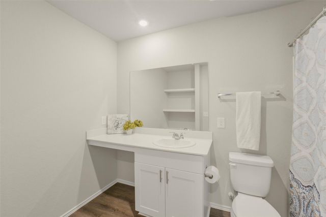 21610 Desert Lily Road, Waller, TX 77484