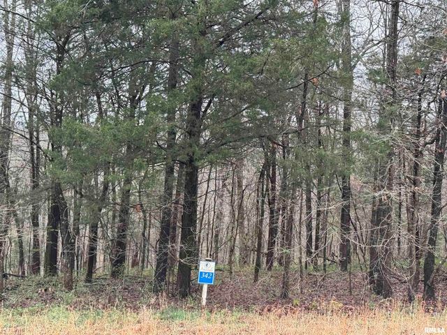 LOT 341&342 Clifty Lane, Goreville, IL 62939