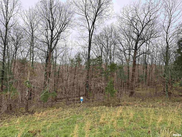 LOT 341&342 Clifty Lane, Goreville, IL 62939