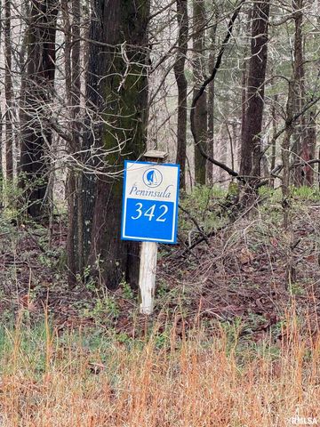 LOT 341&342 Clifty Lane, Goreville, IL 62939