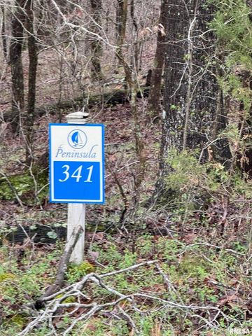 LOT 341&342 Clifty Lane, Goreville, IL 62939