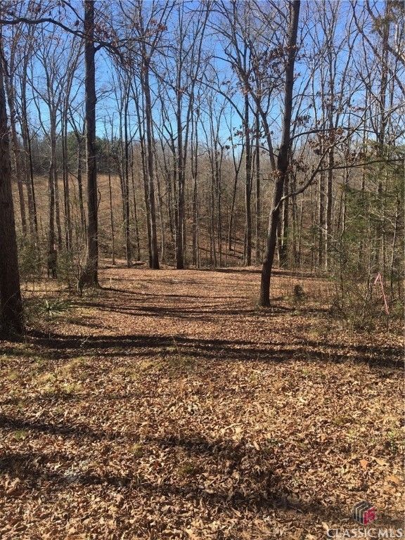 151 Sandy Springs Drive, Athens, GA 30601