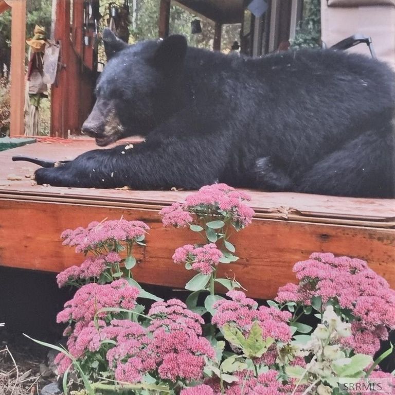 Image 15 of property listing at 4531 E Moose Lane, Ashton, ID 83420