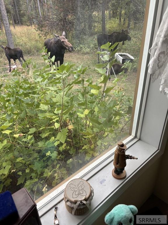 Image 16 of property listing at 4531 E Moose Lane, Ashton, ID 83420