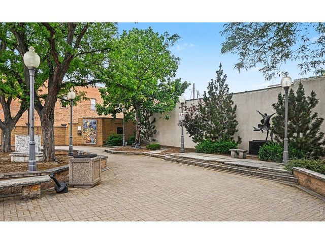 817 Garfield Ave, Loveland, CO 80537