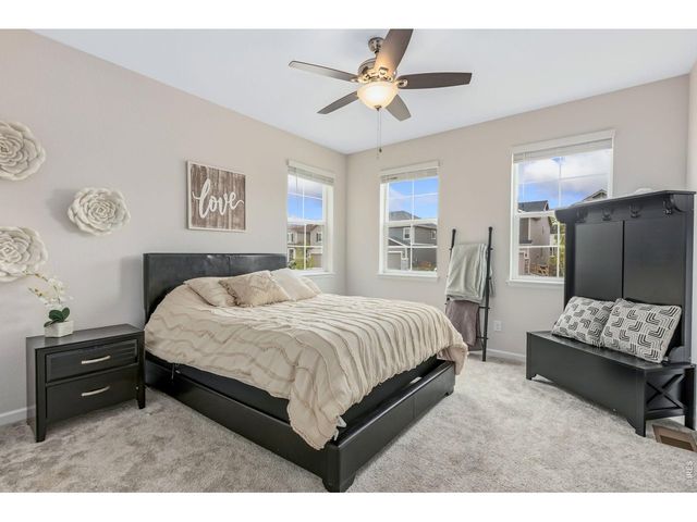 955 Rustling St, Windsor, CO 80550