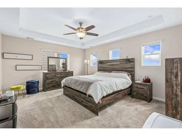 955 Rustling St, Windsor, CO 80550