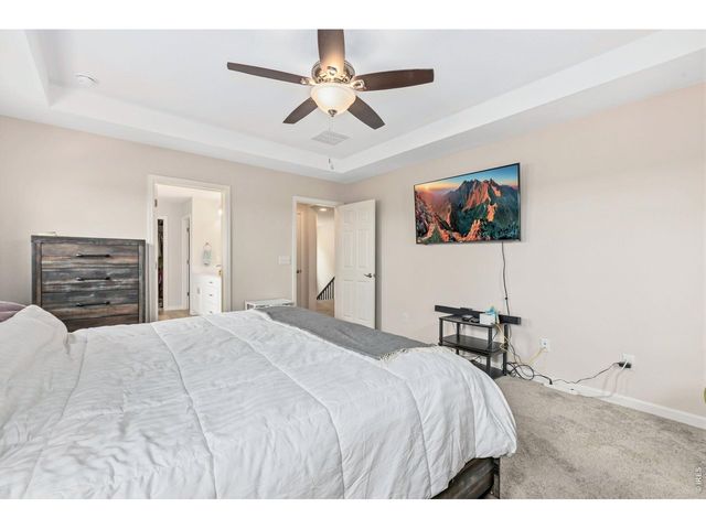 955 Rustling St, Windsor, CO 80550